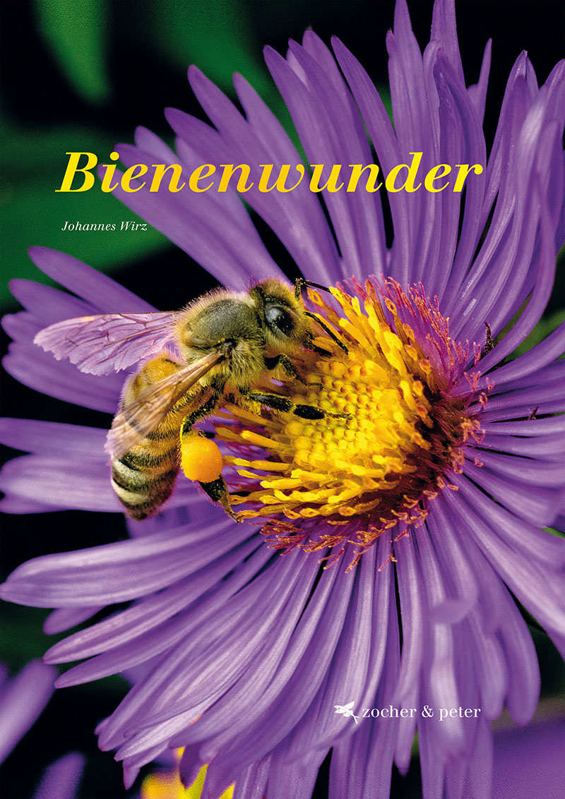 26 – Bienenwunder